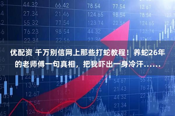 优配资 千万别信网上那些打蛇教程！养蛇26年的老师傅一句真相，把我吓出一身冷汗……