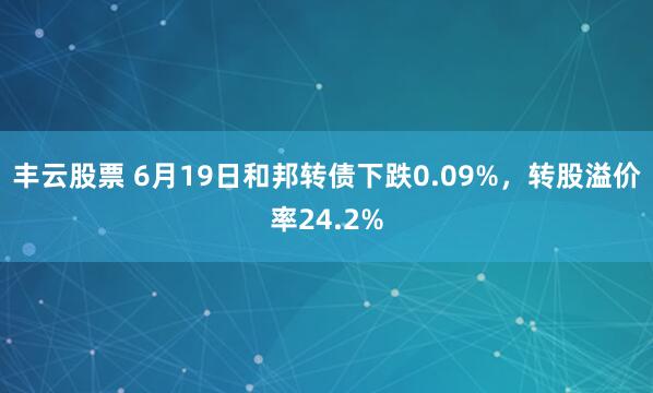丰云股票 6月19日和邦转债下跌0.09%，转股溢价率24.2%