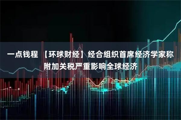 一点钱程 【环球财经】经合组织首席经济学家称附加关税严重影响全球经济