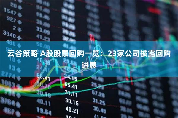 云谷策略 A股股票回购一览：23家公司披露回购进展