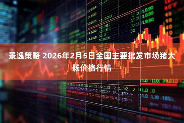 景逸策略 2026年2月5日全国主要批发市场猪大肠价格行情