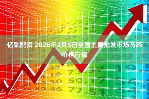 亿融配资 2026年2月5日全国主要批发市场马蹄价格行情