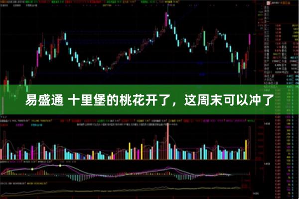 易盛通 十里堡的桃花开了，这周末可以冲了