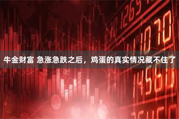 牛金财富 急涨急跌之后，鸡蛋的真实情况藏不住了